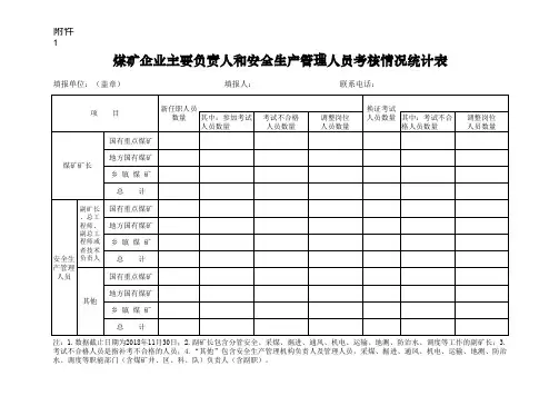 煤矿企业主要负责人和安全生产管理人员考核情况统计表