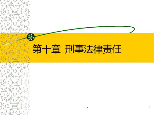 刑事法律责任PPT课件