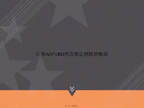 汇报AO与BO理念锁定钢板唐佩福讲课文档