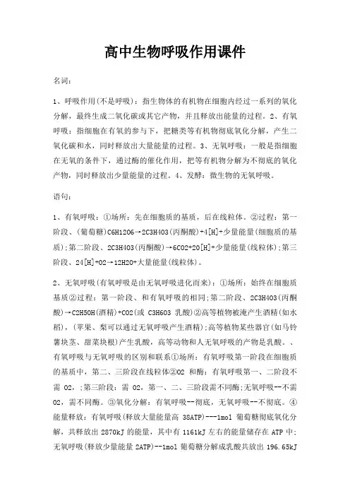 高中生物呼吸作用课件