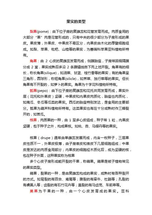 果实的类型