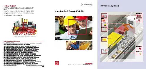 罗克韦尔-安全产品