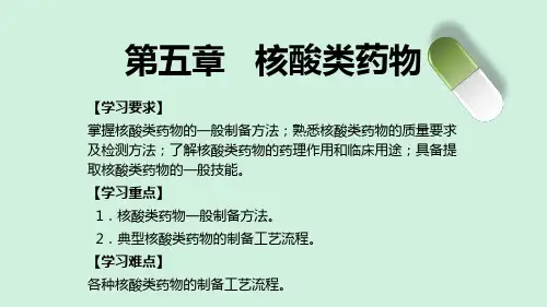 核酸类药物