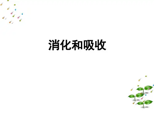 人教版初中生物七年级下册课件-4.2.2 消化和吸收4