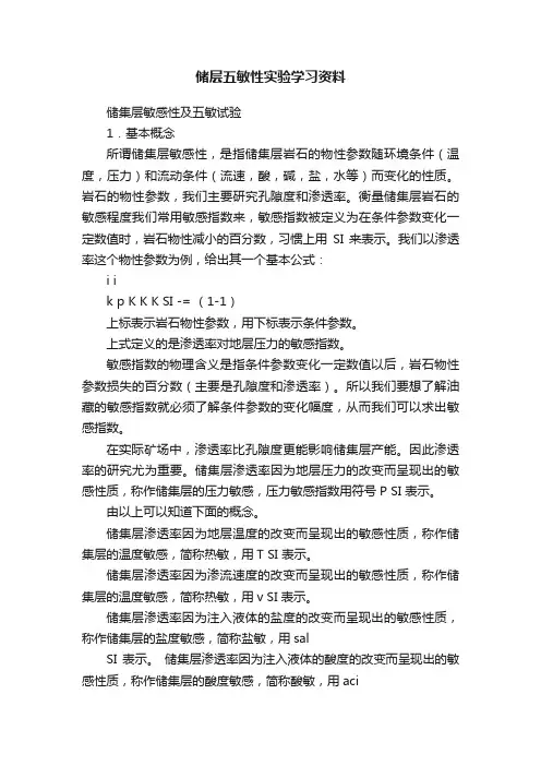 储层五敏性实验学习资料