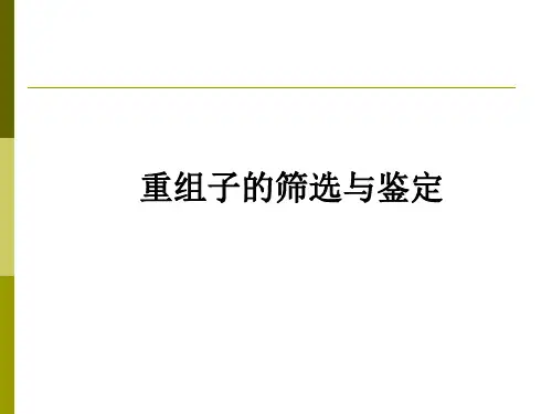 14 第十四讲(2) 重组子的筛选和鉴定