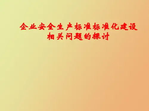 企业安全生产标准