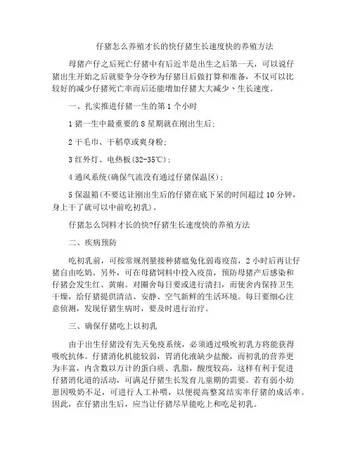 仔猪怎么养殖才长的快仔猪生长速度快的养殖方法