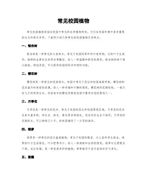 常见校园植物