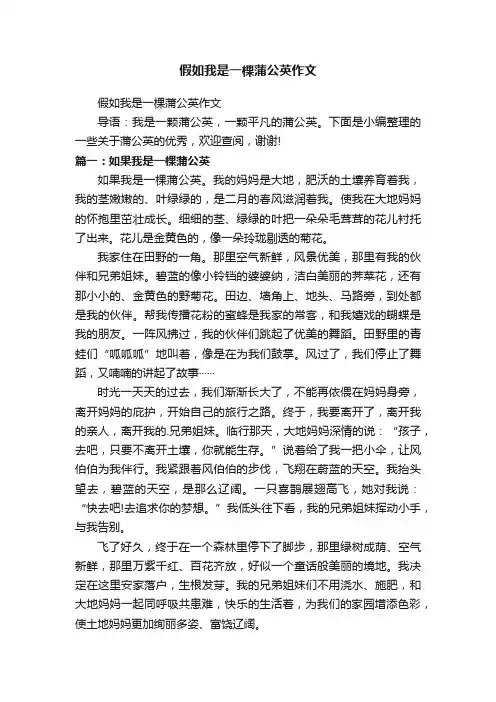 假如我是一棵蒲公英作文