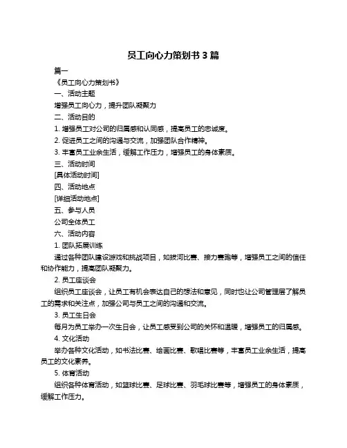 员工向心力策划书3篇