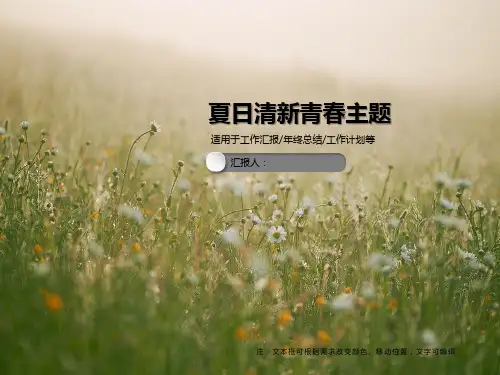 汇报总结PPT模板合集(4套)