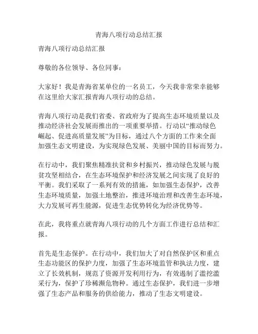 青海八项行动总结汇报