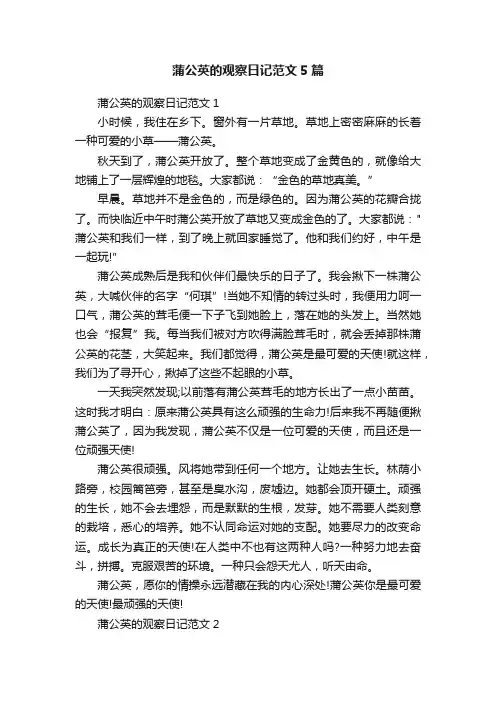 蒲公英的观察日记范文5篇