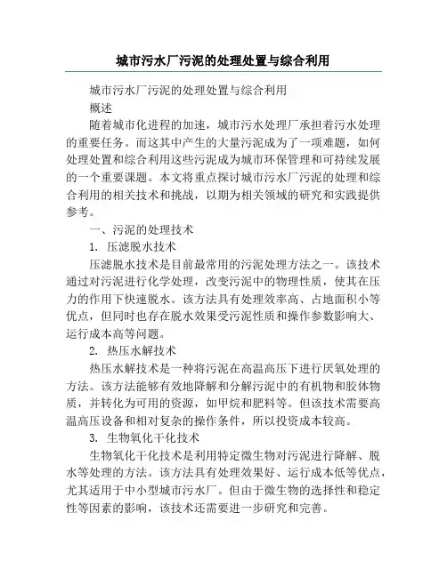 城市污水厂污泥的处理处置与综合利用