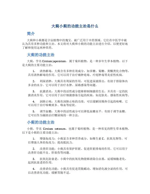 大蓟小蓟的功能主治是什么