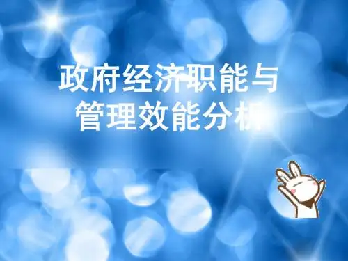 政府经济职能与管理效能分析PPT