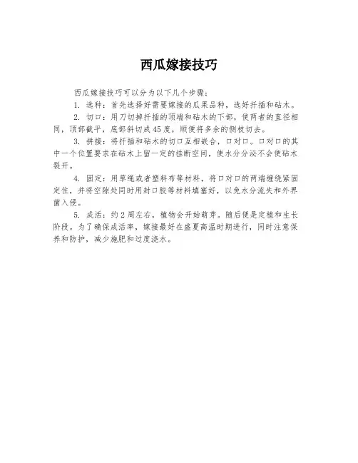 西瓜嫁接技巧