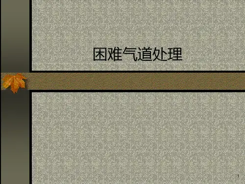 困难气道的处理