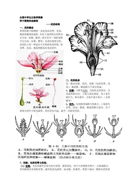 花的结构