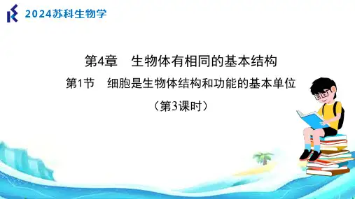 4.1细胞是生物体结构和功能的基本单位(第3课时)(新教材课件)-七年级生物上册(苏科版2024)