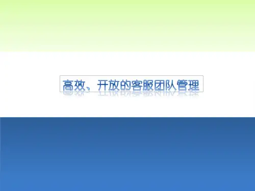 ppT淘宝客服管理培训
