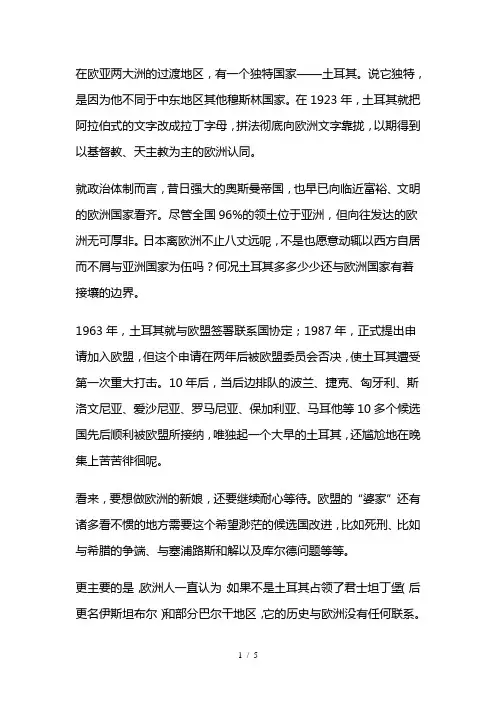 尴尬的土耳其