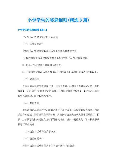 小学学生的奖惩细则(精选3篇)