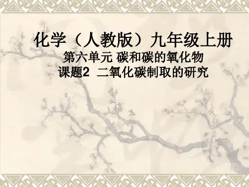新教材《二氧化碳制取的研究》教学PPT1