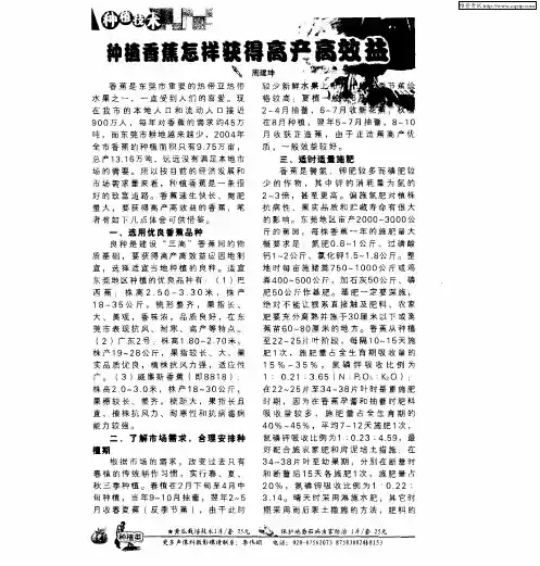 种植香蕉怎样获得高产高效益