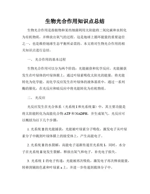 生物光合作用知识点总结