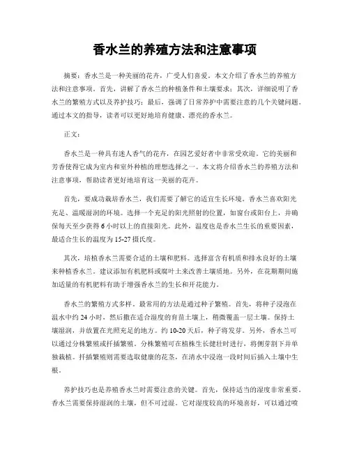 香水兰的养殖方法和注意事项