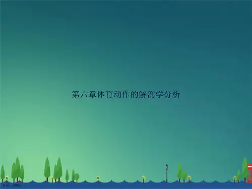 第六章体育动作的解剖学分析讲课文档