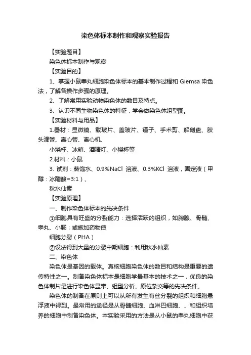 染色体标本制作和观察实验报告