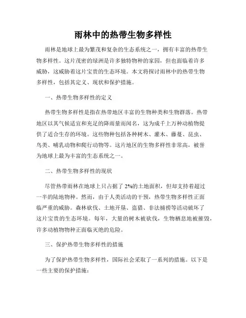 雨林中的热带生物多样性