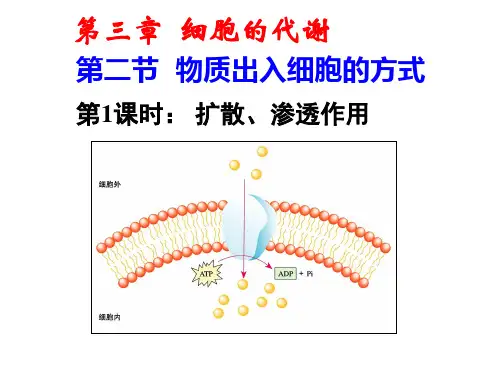 浙科版高中生物必修1  3.2-物质出入细胞的方式