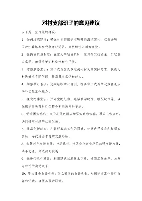 对村支部班子的意见建议