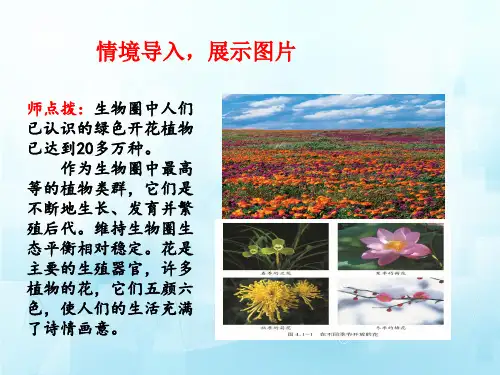 花的结构和类型(第一课时)课件-济南版生物八年级上册