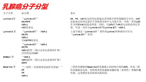 乳腺癌分子分型ppt课件