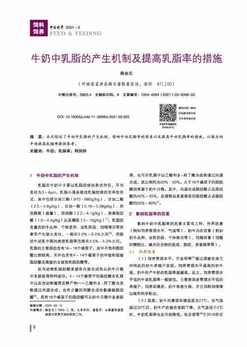 牛奶中乳脂的产生机制及提高乳脂率的措施