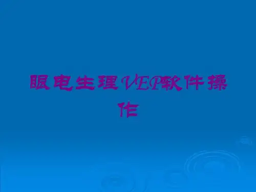 眼电生理VEP软件操作培训课件
