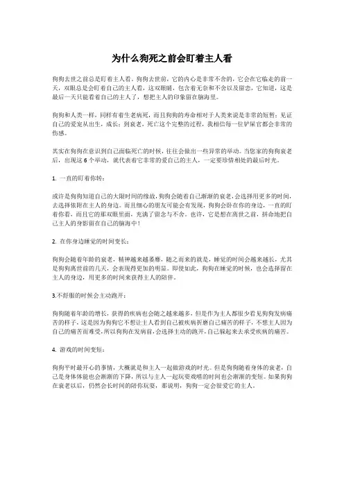 为什么狗死之前会盯着主人看