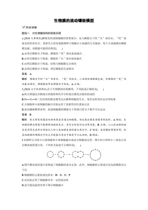 课时作业26：4.2 生物膜的流动镶嵌模型