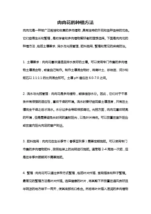 肉肉花的种植方法