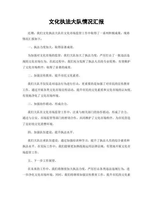 文化执法大队情况汇报
