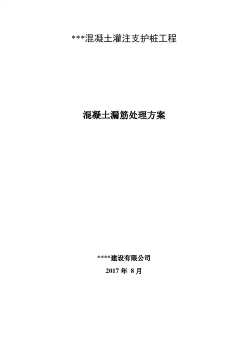 混凝土灌注支护桩工程-(露筋、中空处理)