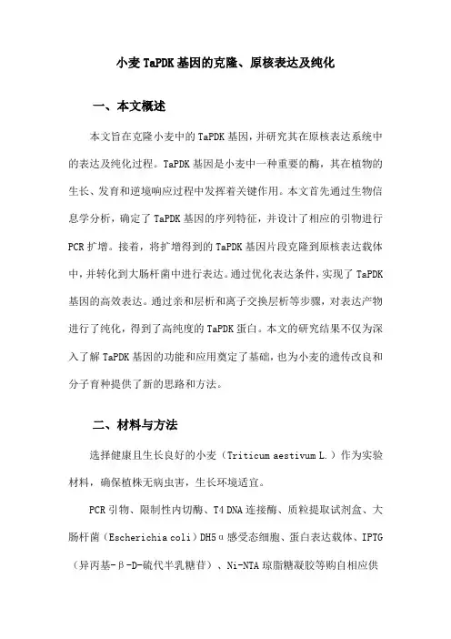 小麦TaPDK基因的克隆、原核表达及纯化