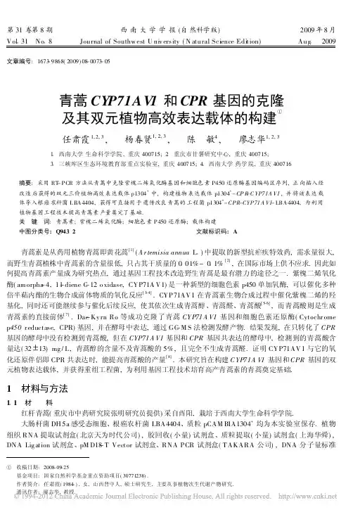 青蒿CYP71AV1和CPR基因的克隆及其双元植物高效表达载体的构建