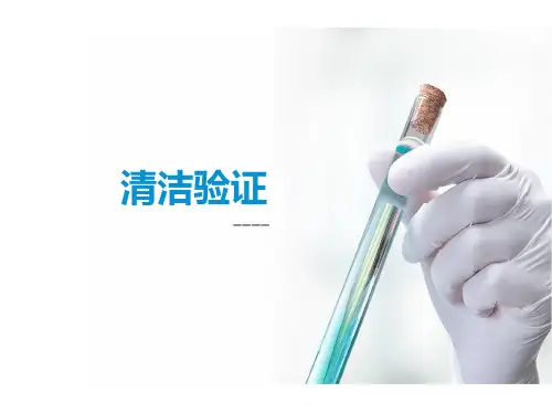 清洁验证