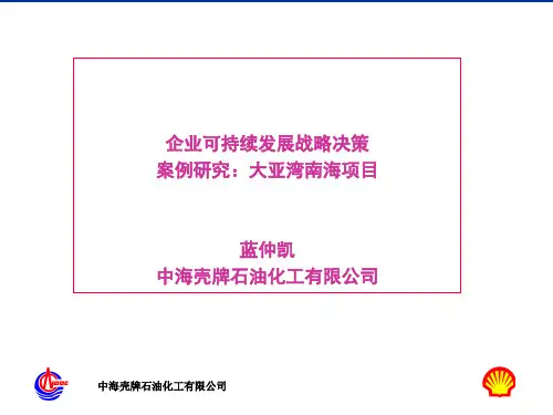 企业可持续发展战略案例